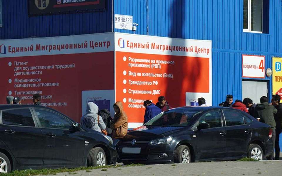 Более 500 мигрантов незаконно легализовали в Воронеже