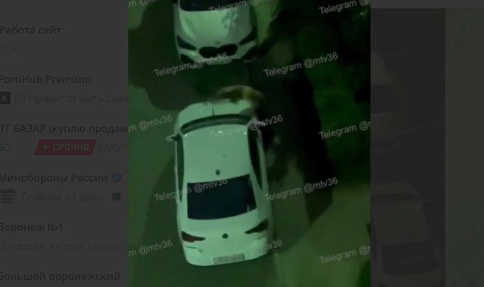На видео попал устроивший битву с припаркованными во дворе авто полуголый воронежец