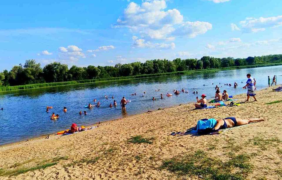 Роспотребнадзор забраковал три пляжа в Воронеже