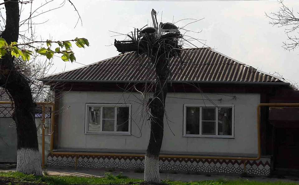 Цены на частные дома в Воронежской области и Черноземье снизились