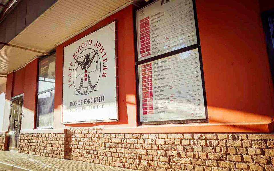 В Воронежском ТЮЗе поставили пьесу Горького «На дне»