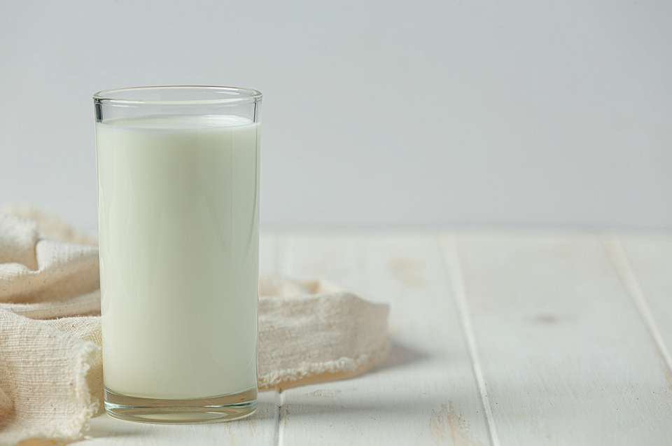 В воронежском детском кефире нашли кишечную палочку