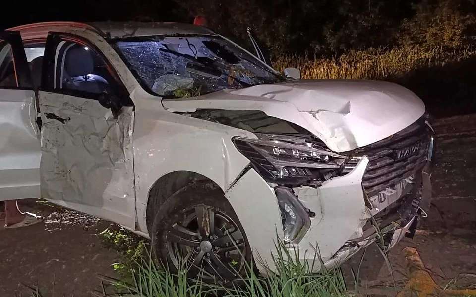 В ДТП с деревом пострадала 21-летняя жительница Воронежа