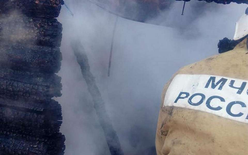 Грузовик «Газель» и хозпостройка сгорели на рассвете в дачном поселке под Воронежем