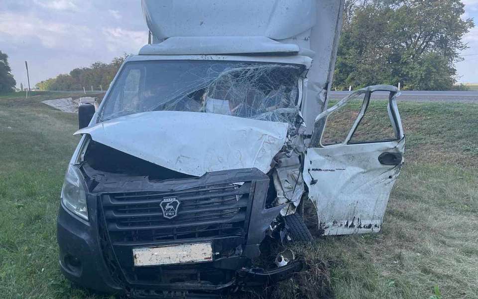 Водитель грузовой «Газели» пострадал в ДТП с трактором в Воронежской области
