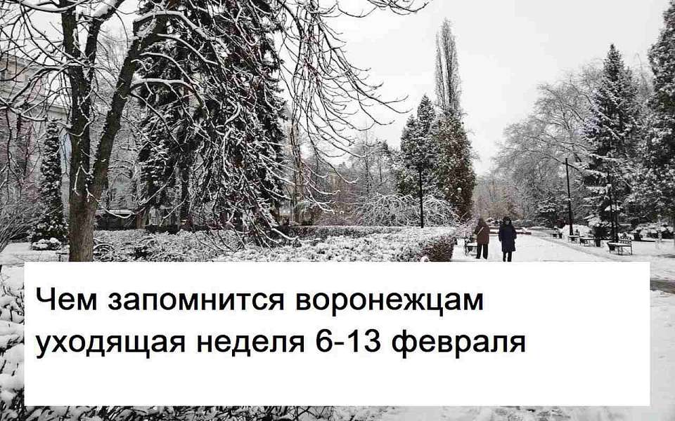 Чем запомнилась в Воронеже неделя с 6 по 13 февраля