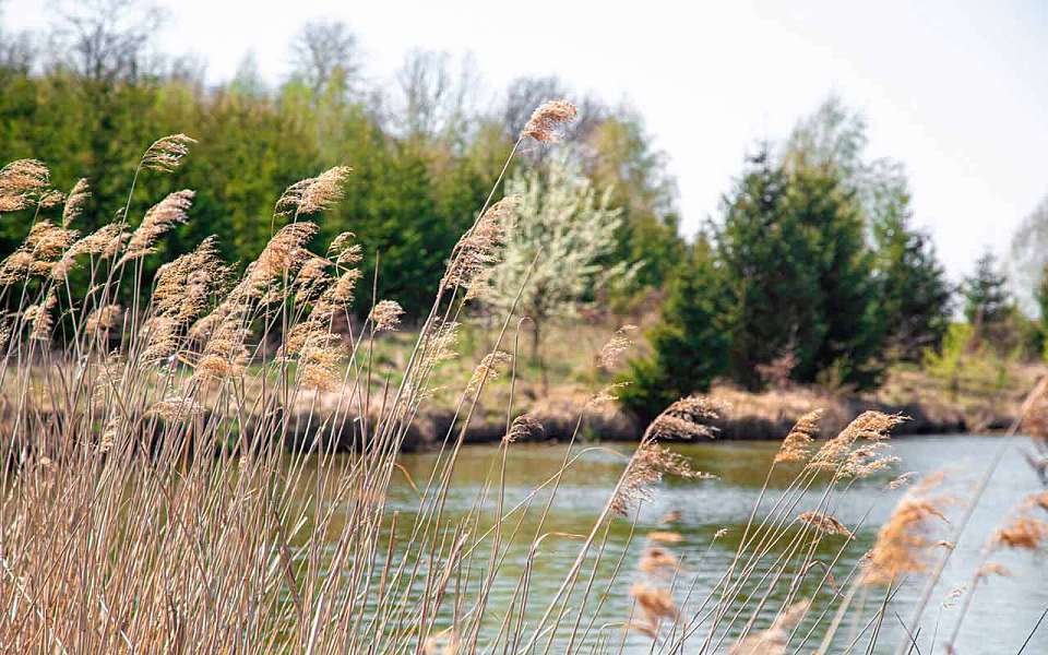 За лето в Воронежской области утонули 13 человек