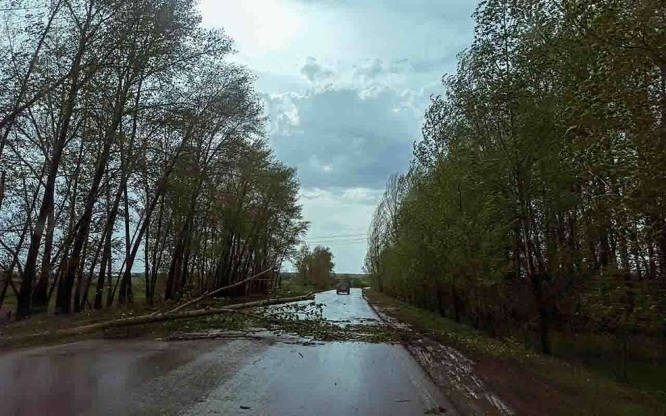 Штормовой ветер пронесется 2 ноября по Воронежской области