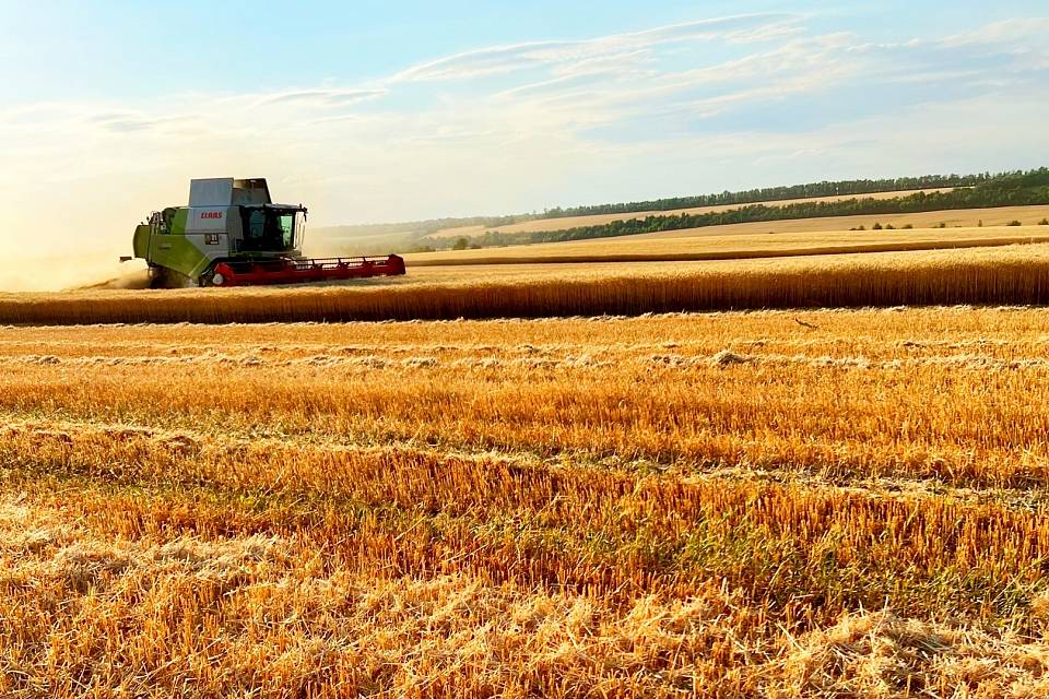 ФАС разрешила «Волгоградской агропромышленной компании» купить два воронежских предприятия