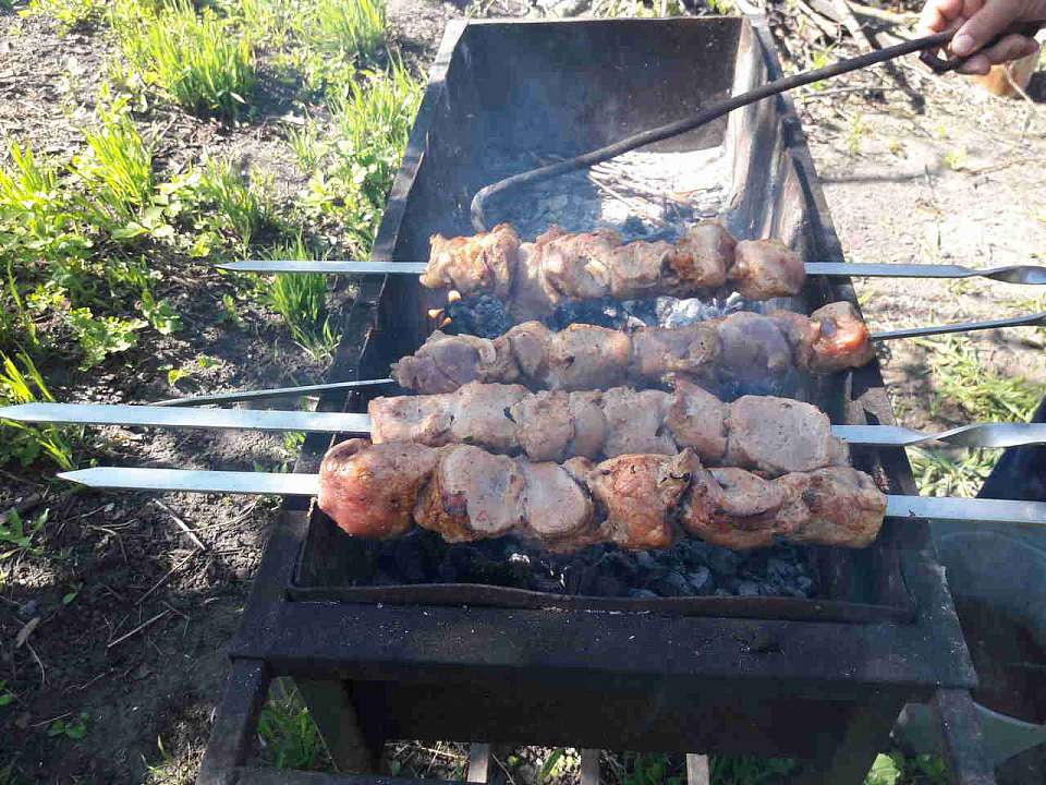 В пяти районах Воронежской области объявлен V класс пожарной опасности