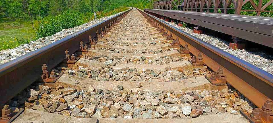 Под Воронежем начнут производство деталей для первого российского высокоскоростного поезда