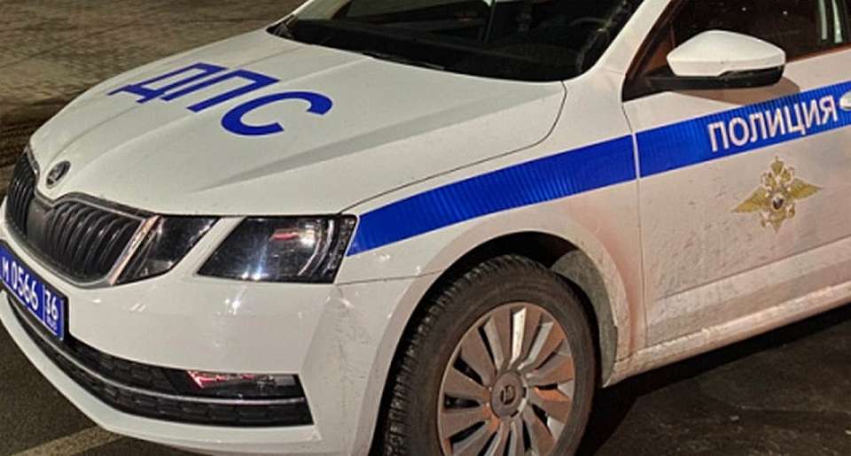 В Воронеже дерево упало на машину и перегородило проезд на улице Депутатской