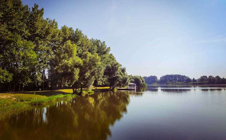 Изъять из частной собственности элитные участки в коттеджном поселке потребовал воронежский прокурор