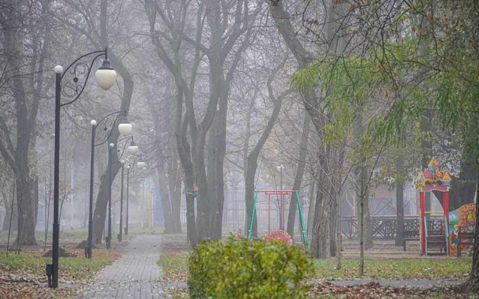 Туманный и холодный день ожидает воронежцев 1 декабря