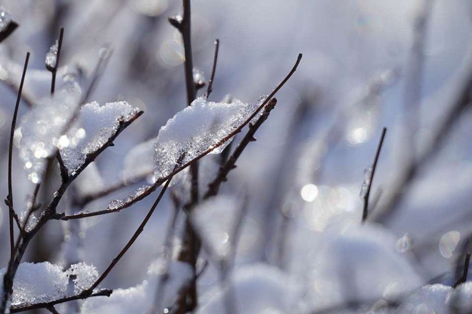 До +3 градусов потеплеет после морозных выходных в Воронежской области