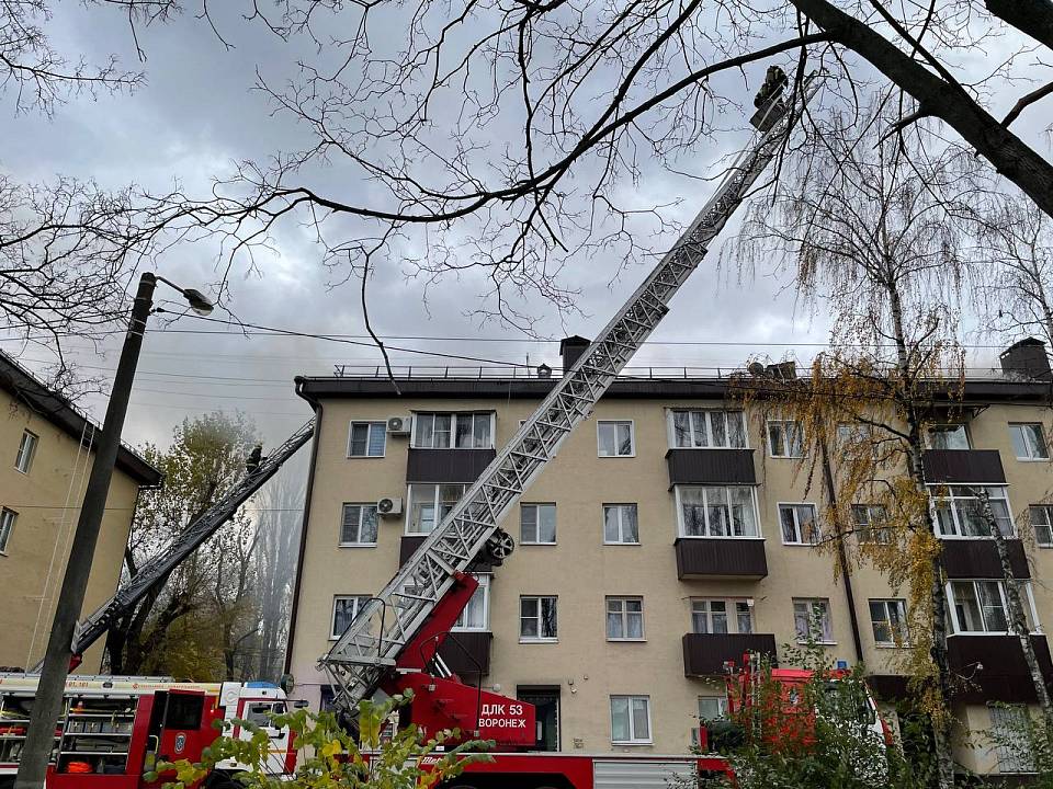 Для ликвидации последствий пожара на ул. Небольсина в Воронеже введут режим локальной ЧС