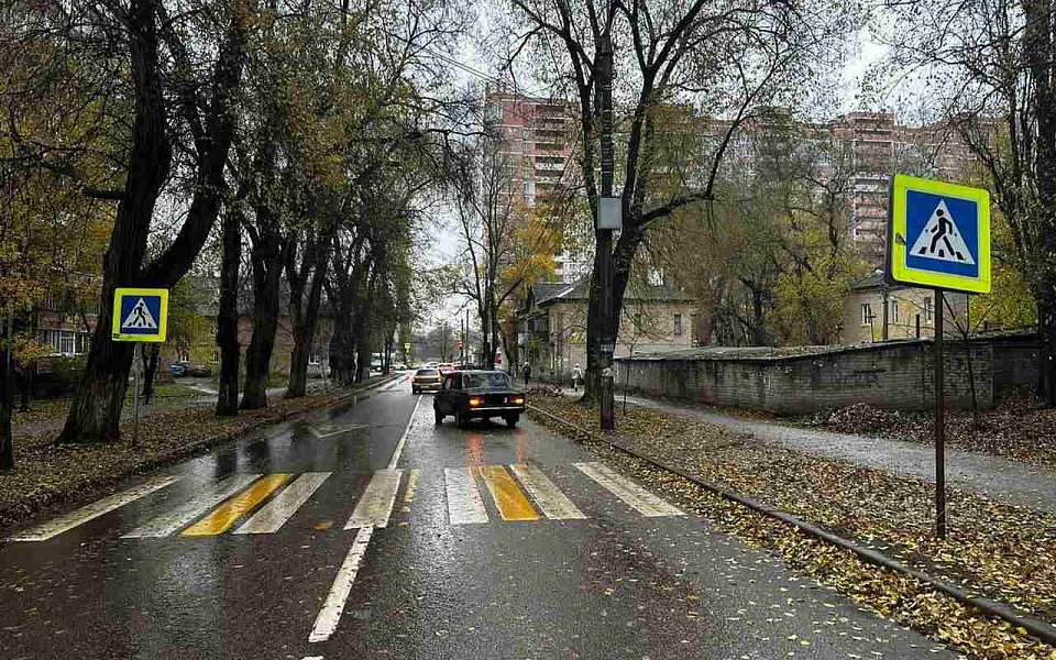 Двух девочек сбил на переходе автомобилист на улице Торпедо в Воронеже