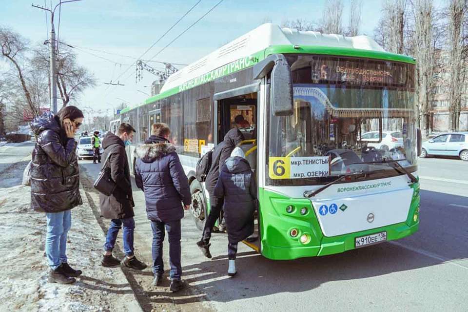 В Воронеже запустят горячую линию для жалоб на водителей маршруток 