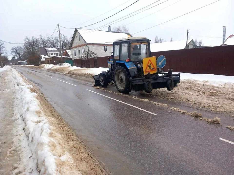 Глава Воронежа поручил усилить обработку тротуаров противогололёдными средствами