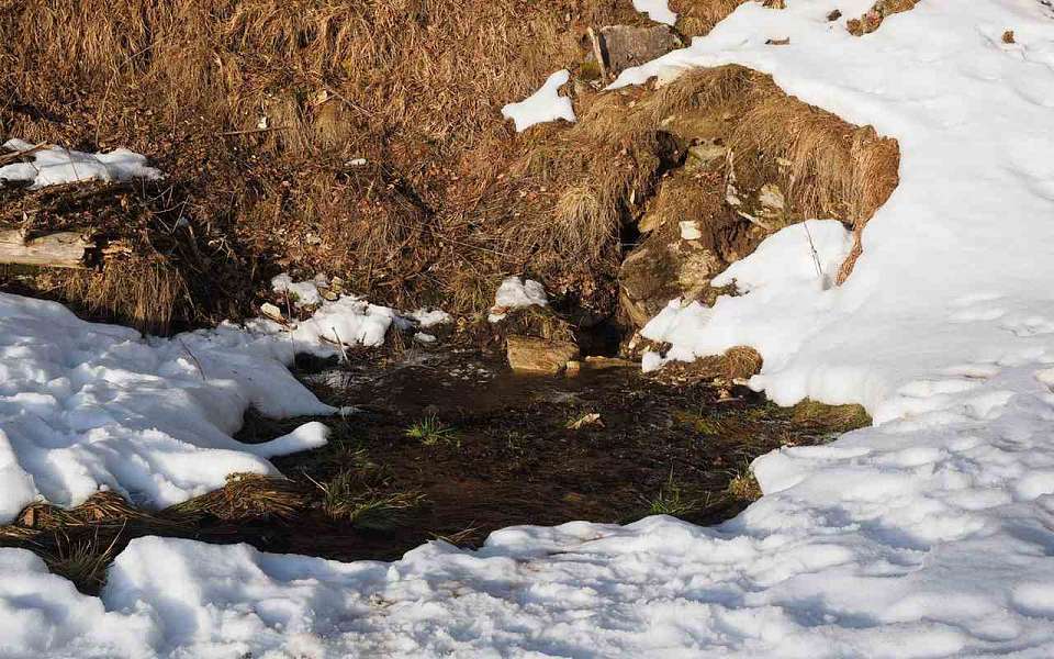 Потеплеет до +5 градусов сразу после лютого мороза в Воронежской области