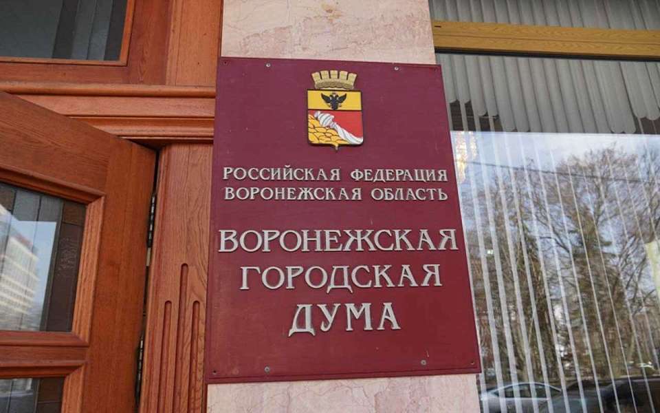 Порядок благоустройства общественных пространств обсудили депутаты гордумы Воронежа