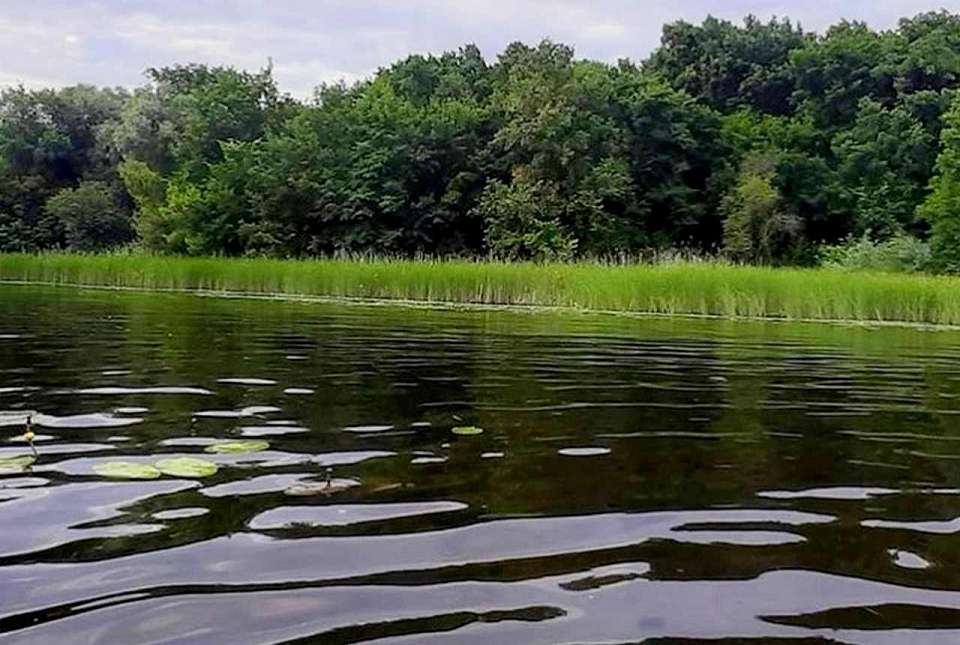Рядом с рекой на воронежском хуторе сливают ядовитые отходы
