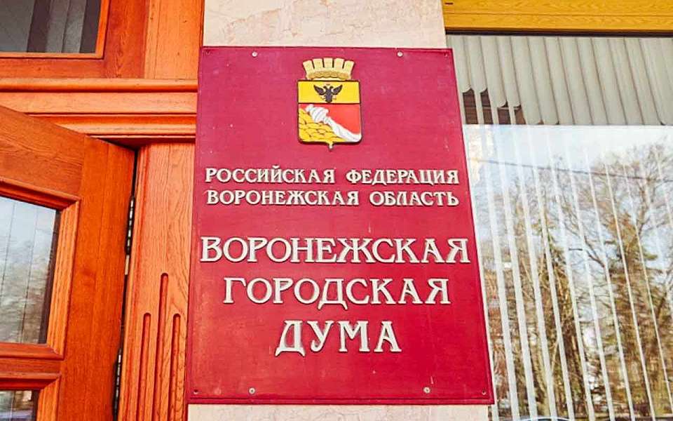 Выплаты народным дружинникам одобрили депутаты гордумы Воронежа 