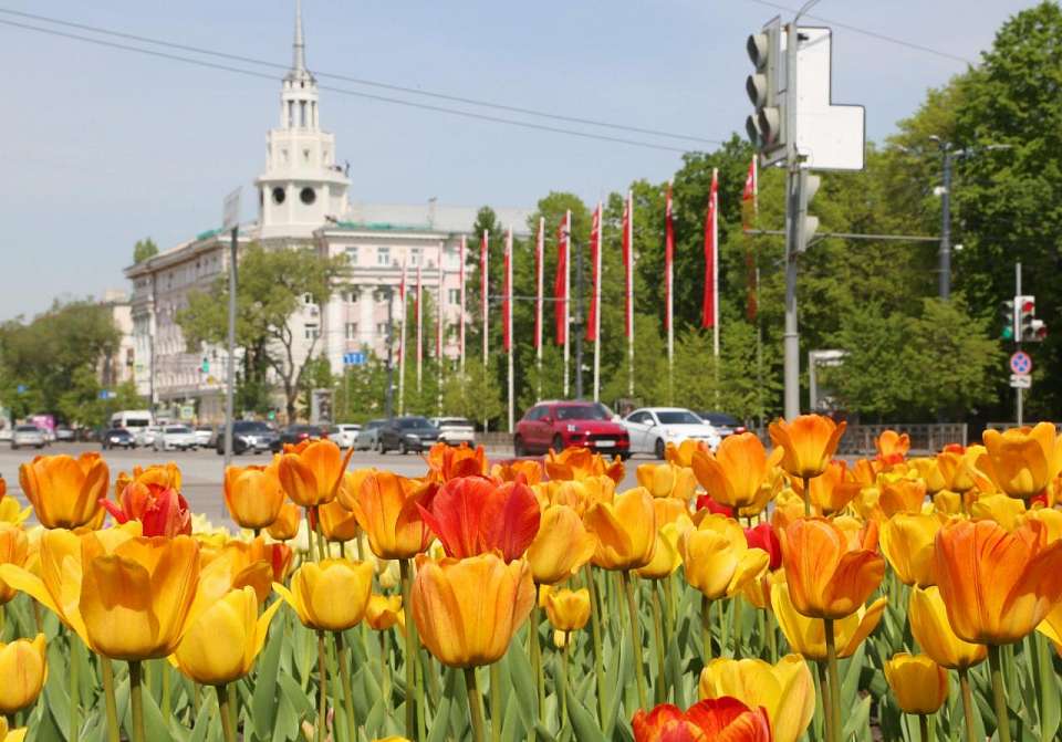 Более 200 цветников появится в Воронеже в 2023 году