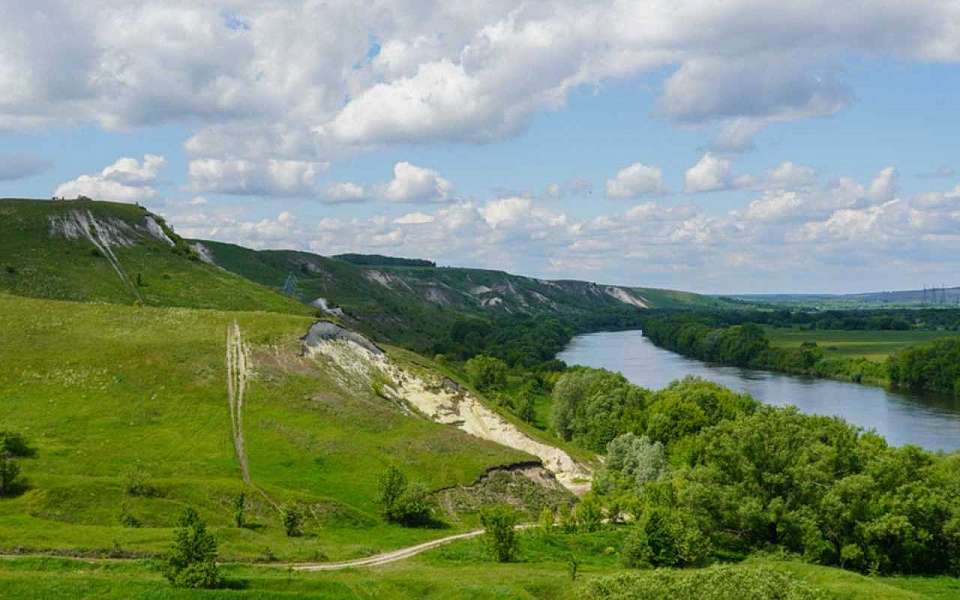 Изъяла 50 земельных участков из частного владения воронежская прокуратура