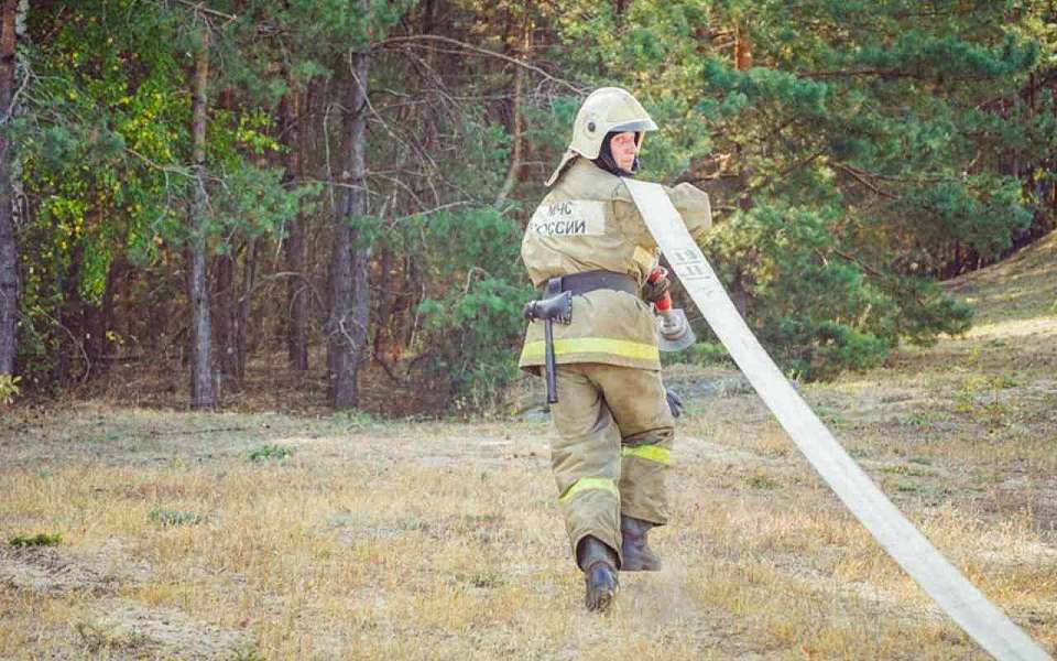 Повышенная вероятность лесных пожаров ожидается весной в Воронежской области