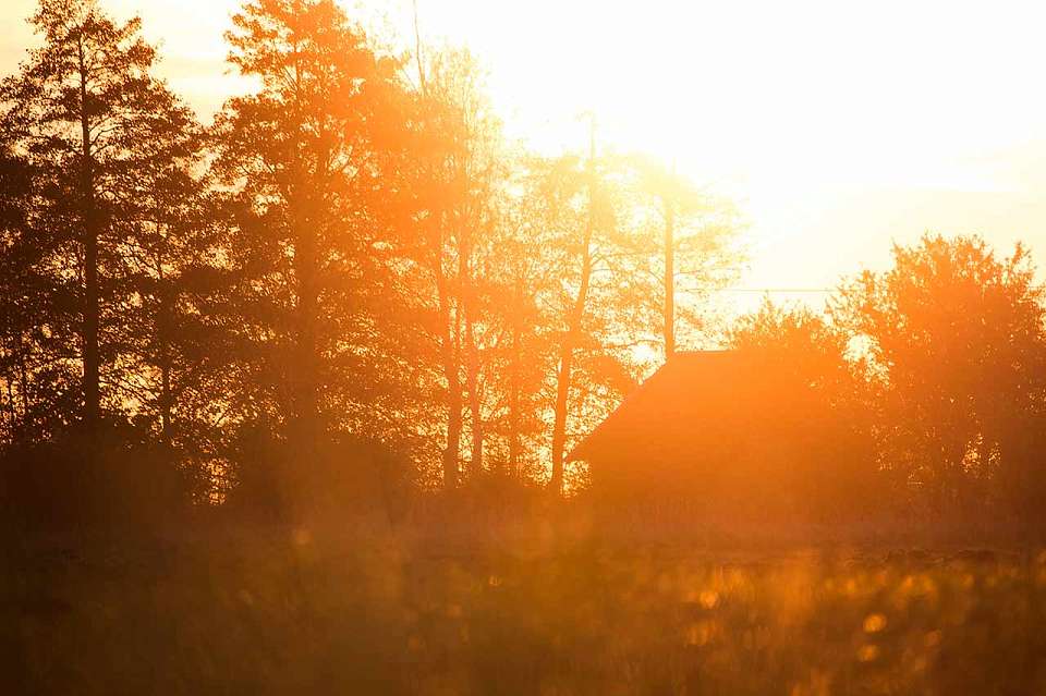 Воронежцев ждет жаркое и сухое начало недели