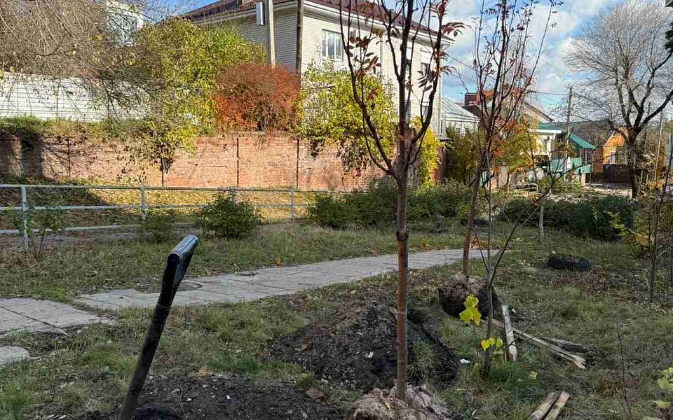 Осеннее озеленение проходит во всех районах Воронежа