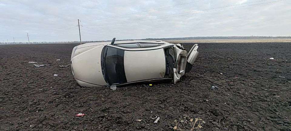 Уходя от столкновения с диким животным, автомобилист разбился на воронежской трассе