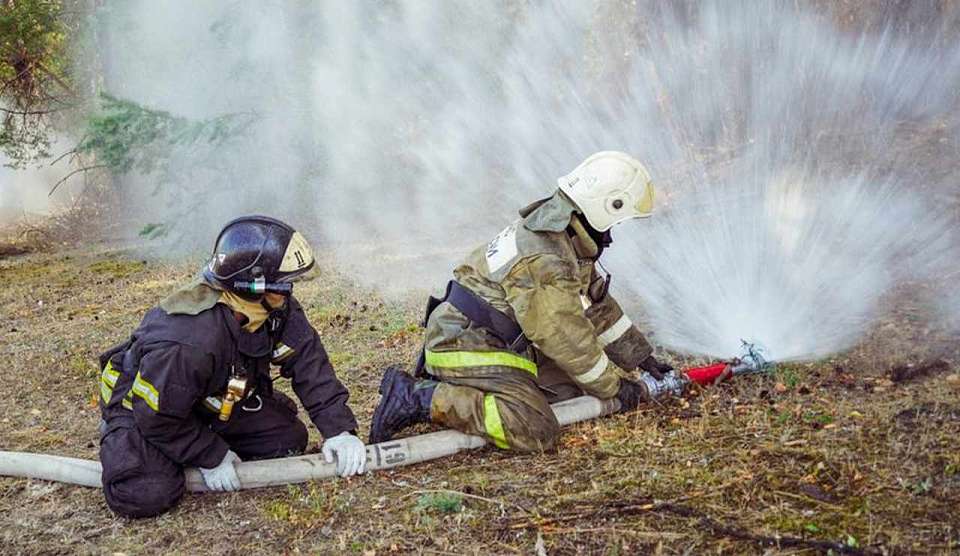 Лес и сухая трава на 10 гектарах горят в Воронежской области