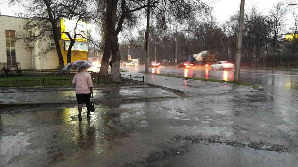 Последняя ноябрьская неделя в Воронеже отметится дождями
