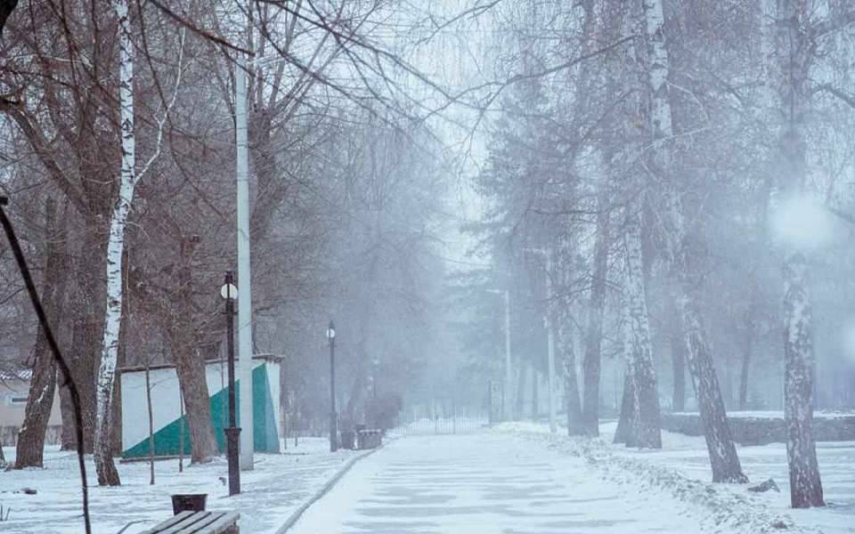 Морозы до -12 градусов и снег ожидаются на предстоящей неделе в Воронежской области