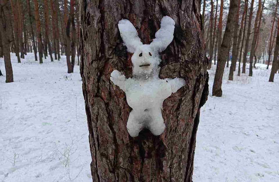 В Воронежскую область после потепления вернётся снег с дождём