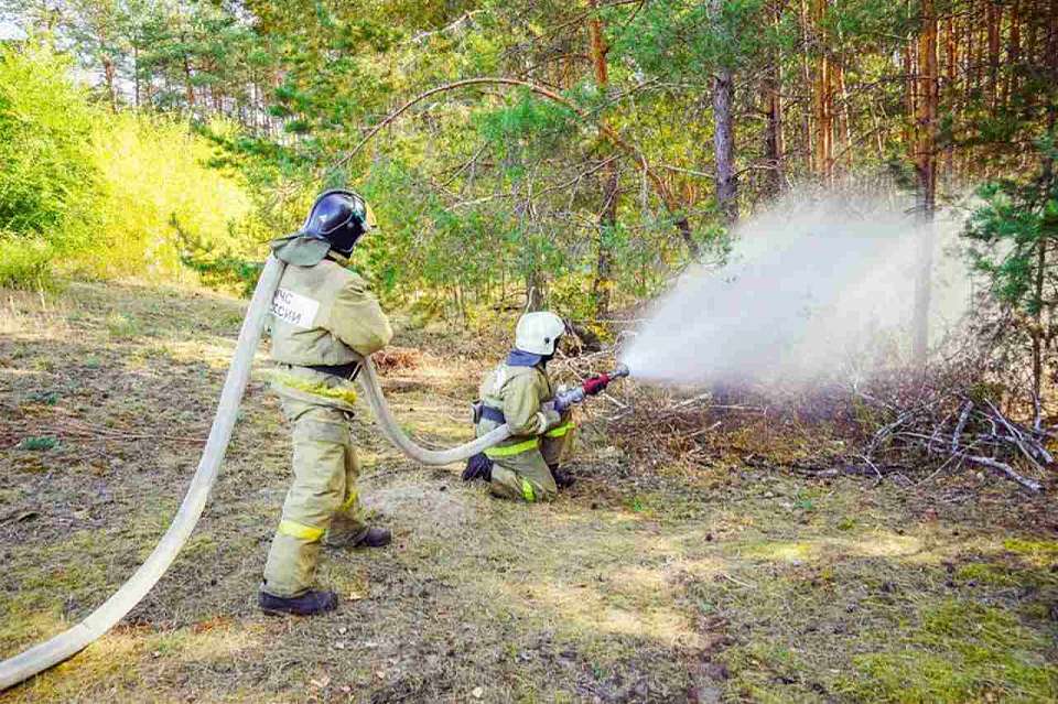 Свыше 600 ландшафтных пожаров зафиксировали с начала весны в Воронежской области