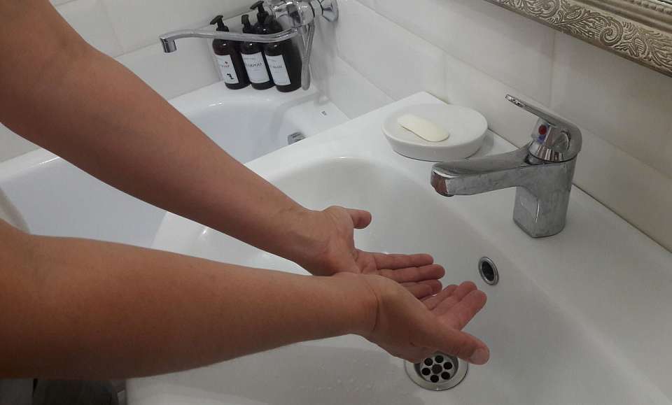 Без воды в чудовищную жару остался воронежский Павловск