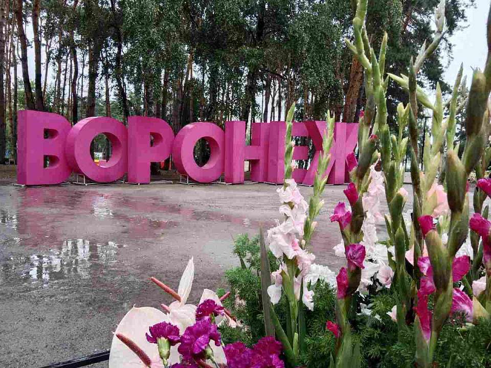 Старт приёма заявок для участия в фестивале «Город-cад» объявили в Воронеже