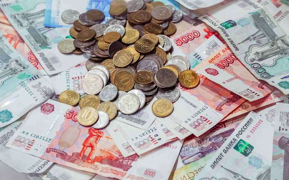 Повышенную выплату за работу в сельском хозяйстве получают более 20 тыс. воронежцев