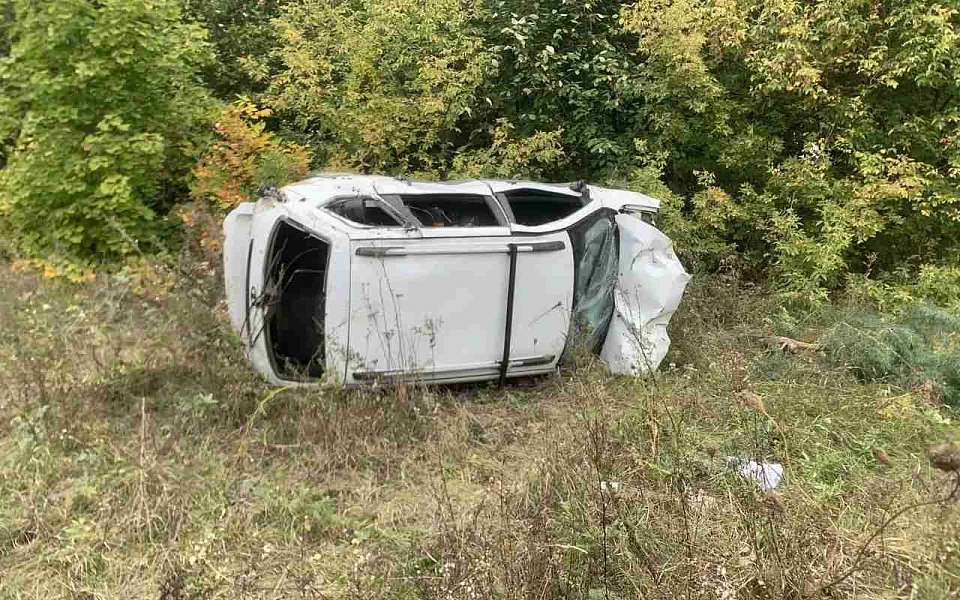  В кювете погиб водитель «Лады» под Воронежем