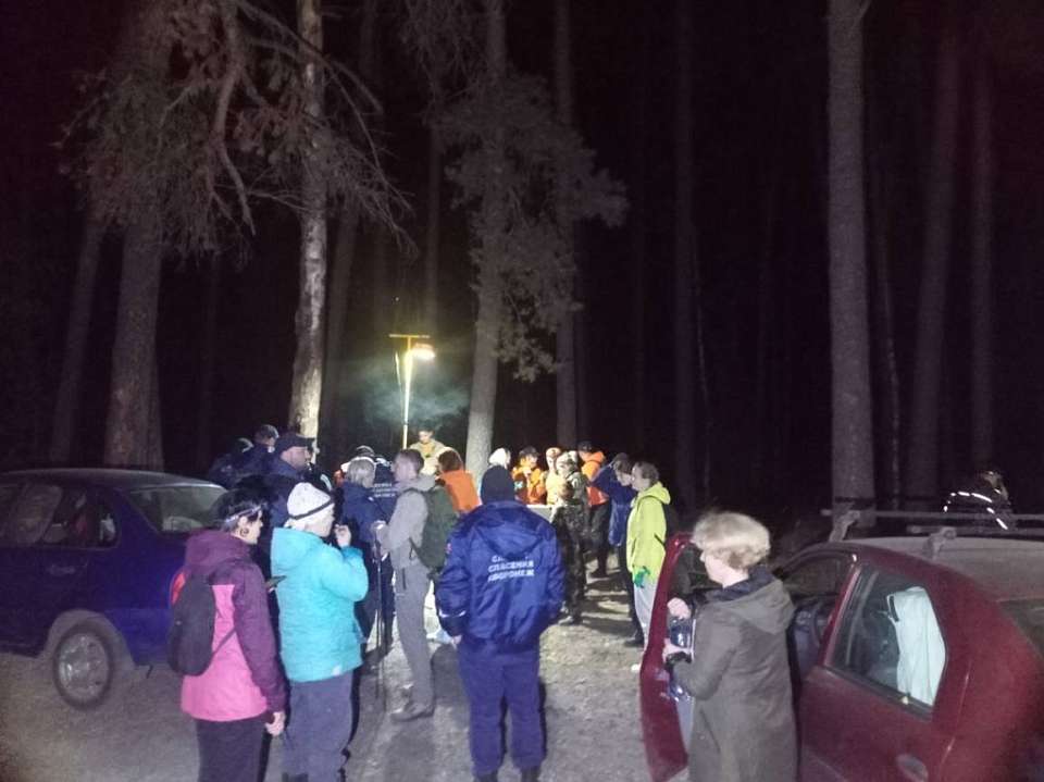 Полиция, спасатели и волонтеры ищут пошедшую за грибами и пропавшую в лесу под Воронежем пенсионерку