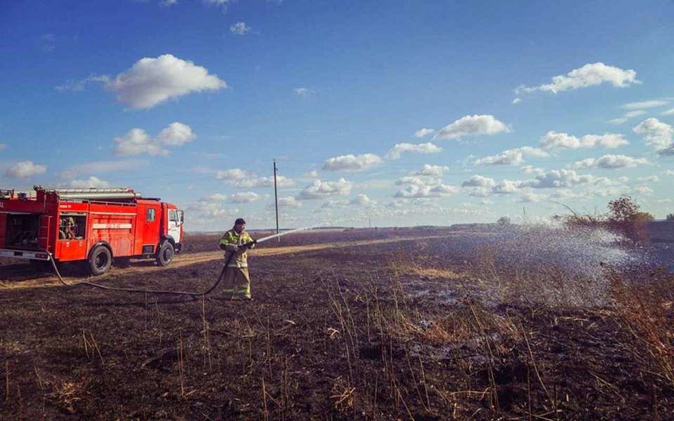 За выходные 50 ландшафтных пожаров потушили в Воронежской области