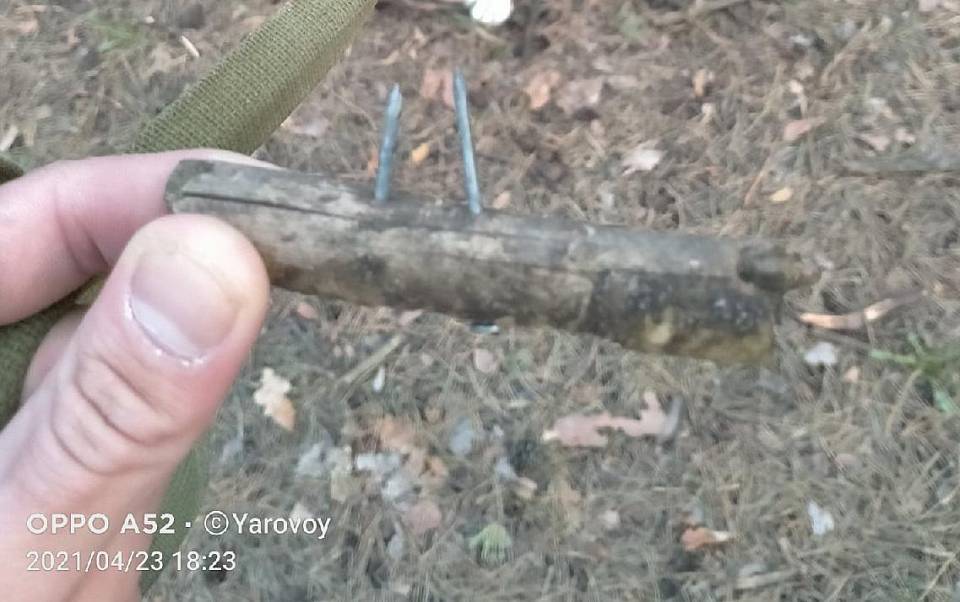 В парке «Танаис» воронежцы обнаружили палки и сосиски с гвоздями