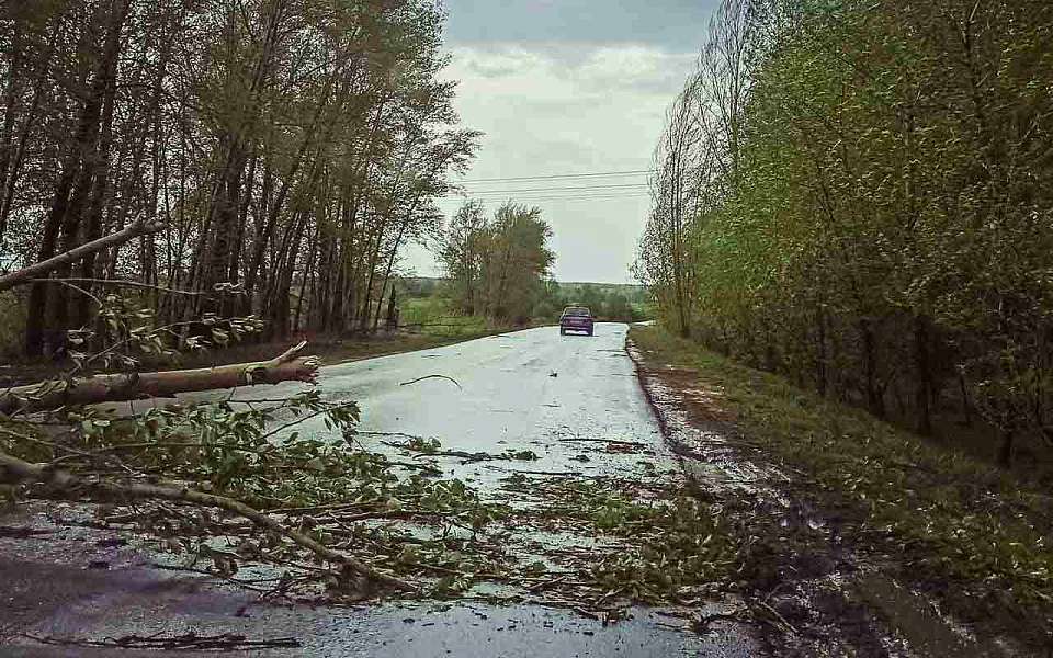 На Воронежскую область надвигаются порывистый ветер и дожди