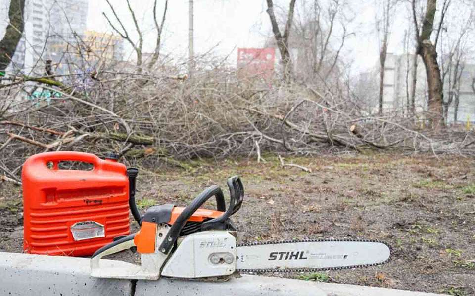 О внедрении новых методик определения аварийных деревьев объявил мэр Воронежа