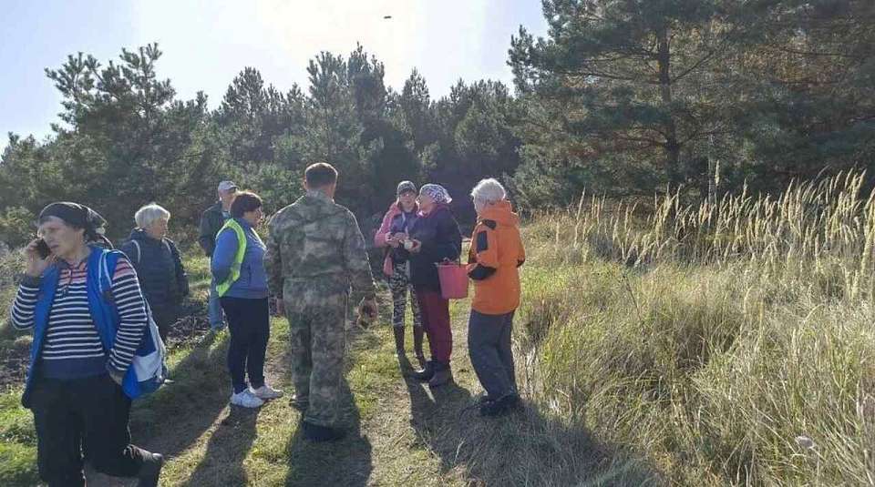 Ушедшая за грибами пенсионерка всю ночь провела в лесу в Воронежской области