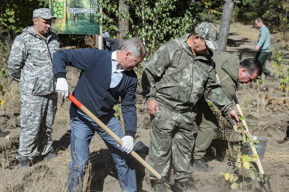 Воронежцам пообещали сохранить лес