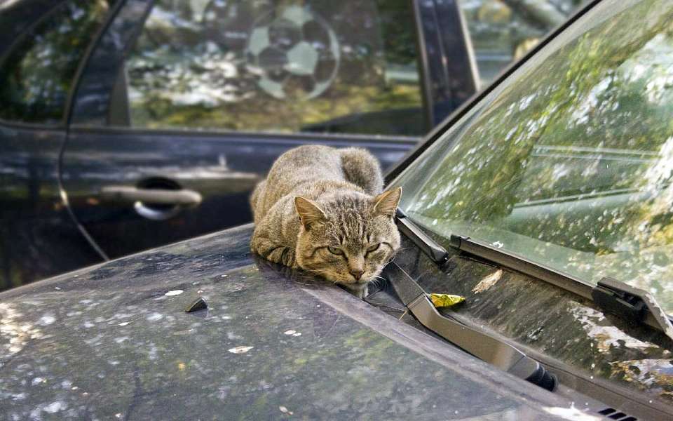 Стали известны самые дефицитные вакансии июля в Воронежской области